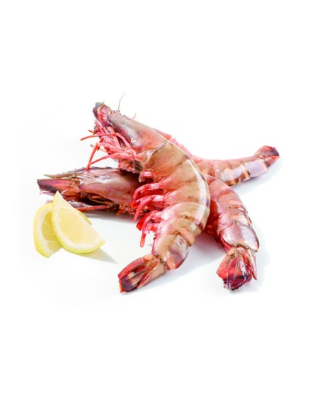 GAMBAS ENTIER 2/4 PSP 900G*10/CT