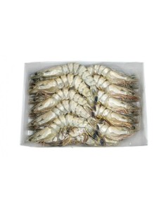 GAMBAS ENTIER 21/30 WONDER 800G