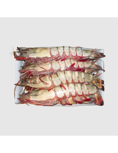 GAMBAS ENTIER 4/6 M.D.MONDE 800G