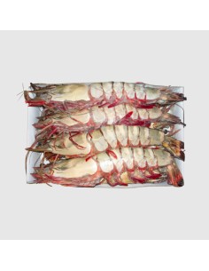 GAMBAS ENTIER 4/6 M.D.MONDE 800G*10/CT