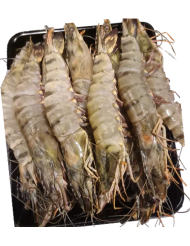 GAMBAS ENTIER 6/8 1KG*10/CT