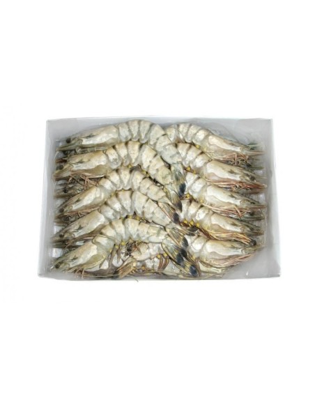 GAMBAS ENTIER 13/15 EBI 750G*10/CT