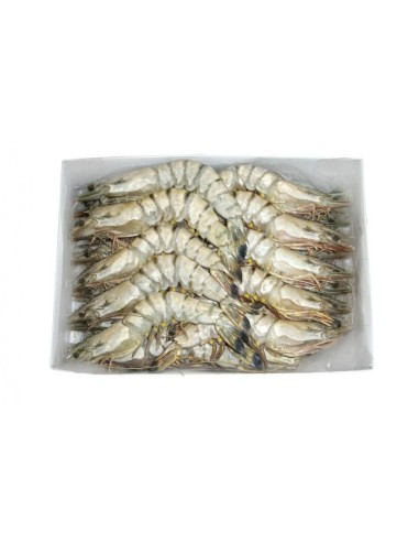 GAMBAS SAUVAGE ARGEN 21/30 2KG*6/CT