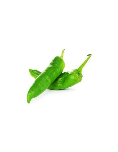 PIMENT VERT MAROC 1KG