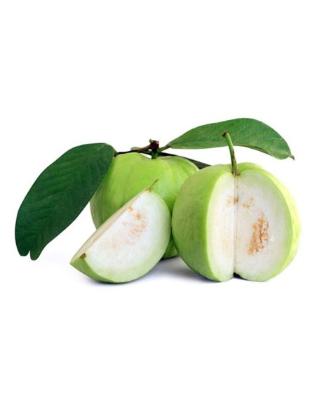 GOYAVE FRAIS LE KILO (ORIG.VIETNAM)