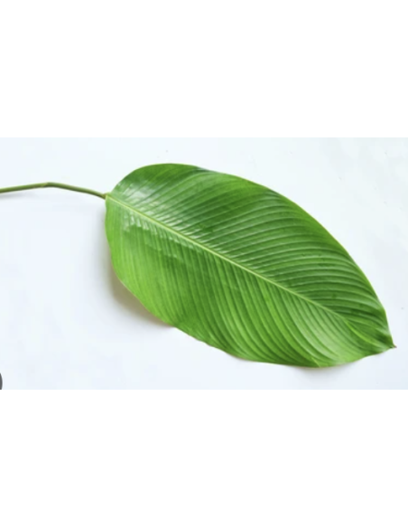 LA DONG LE SACHET 1 KG (ORIG.LAOS)