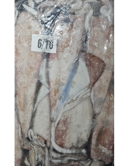 ENCORNET ENTIER INDE 6/10 1.8KG