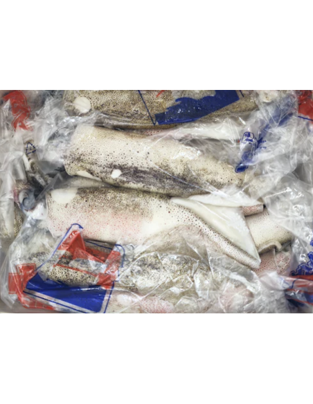 ENCORNET ENTIER PATAGONIQUE EPIC 800G*7/CT