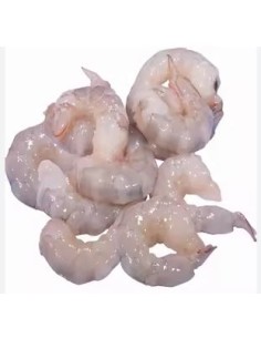 CREV TOUT DECORT SEA DRAGON 71/90 750G