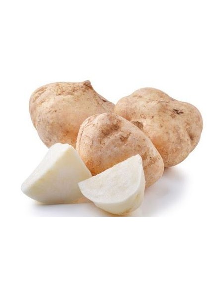 CU DAU LE KILO (ORIG.CHINE)