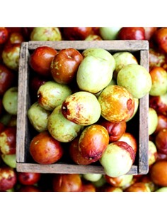 JUJUBE FRAIS 500G (ORIG.CHINE)