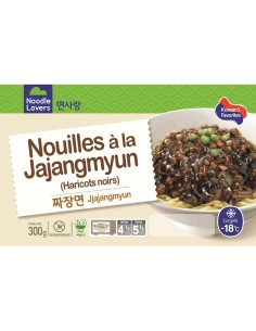 NOUILLE JJAJANG NOODLES LOVERS 300G