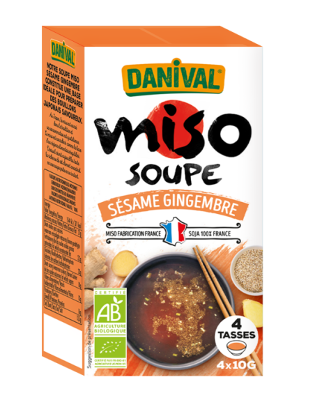 SOUPE GINGEMBRE SAUCE SOJA DS 580G