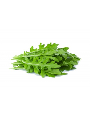 SALADE ROQUETTE 1 SACHET