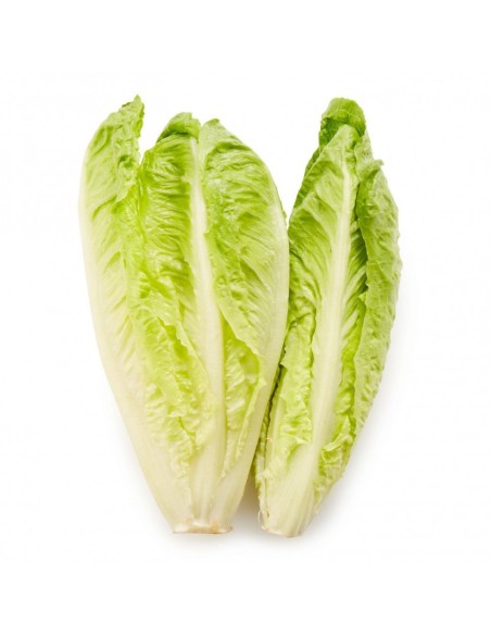 SALADE ROMAINE 2P