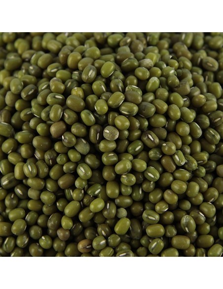 HARICOT MUNG VERT NON DECORT CASSE G.CHEF 400G
