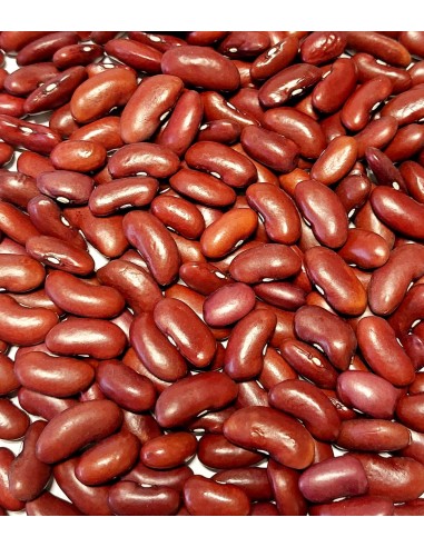 HARICOT ROUGE VDS 900G