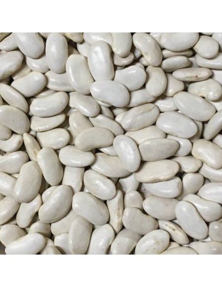 HARICOT BLANC VDS 900G