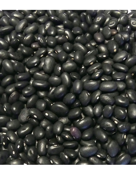 HARICOT CANNEBERGE MOUCHETE NOIR VDS 1KG