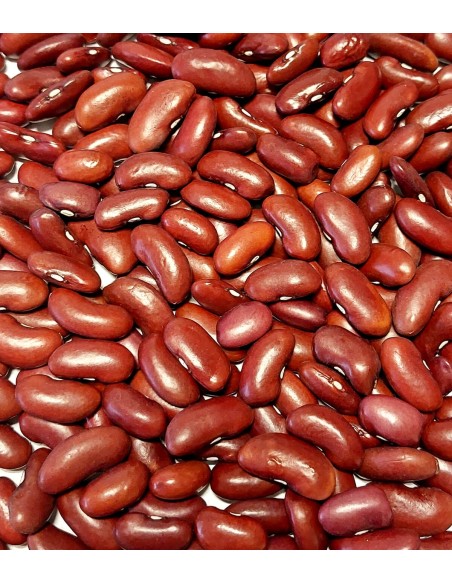 HARICOT ROUGE BOUILLI 190G*24/CT