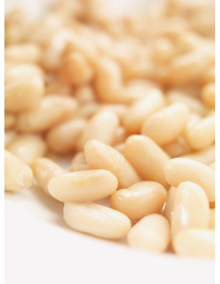 HARICOT BLANC CUIT CEREN 560G*12/CT