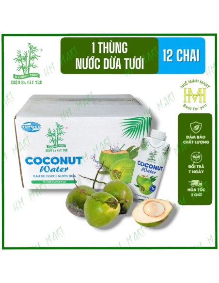 EAU DE COCO BAMBOU BEN TRE VN 1L*12/CT