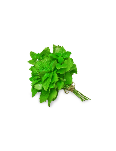 MENTHE LA BOTTE (ORIG.ESPAGNE)