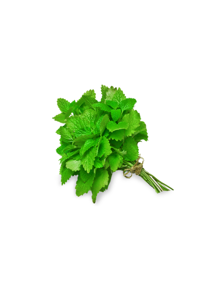 MENTHE LA BOTTE (ORIG.ESPAGNE)