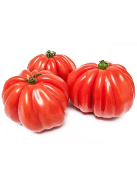 TOMATE COEUR DE BOEUF CAT1 LE KILO(ORIG.FRANCE)