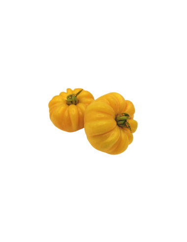 TOMATE ANANAS CAT1 LE KILO (ORIG.FRANCE)