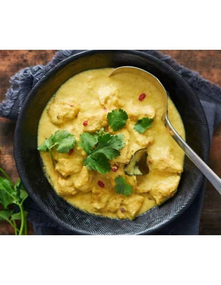 TR NOMAD POULET CURRY 1KG