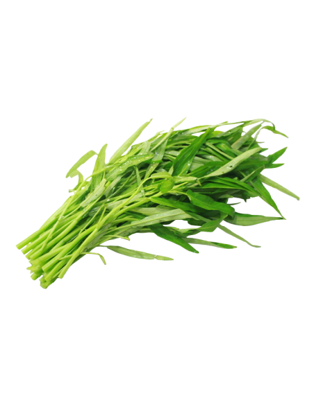 TIGE DE LISERON DEAU LE SACHET 100G (ORIG.THAILANDE)