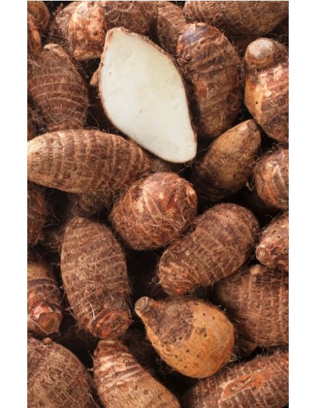 TARO FRAIS LE KILO (ORIG.COSTA RICA)