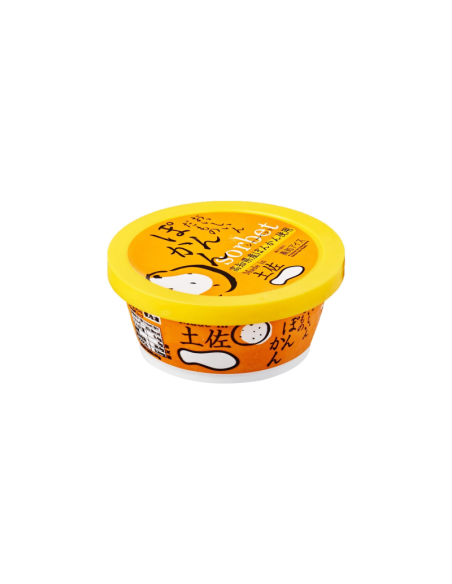 SORBET MANDARINE JAPONAISE KOCHI 115ML