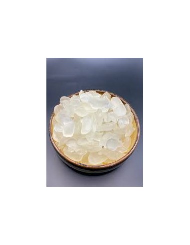 MINI PALMIER 600G