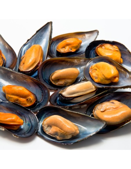 MOULE DEMI COQ 30/40 800G