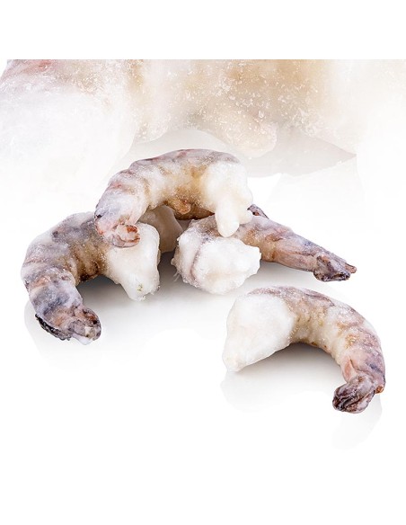 QUEUE CREV 16/20 TROPICAL 1.26KG*6/CT