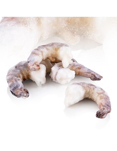 QUEUE CREV 21/25 TROPICAL 1.26KG*6/CT