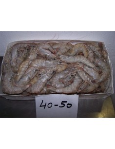 CREVETTE ENTIERE 41/50 WONDER 800G