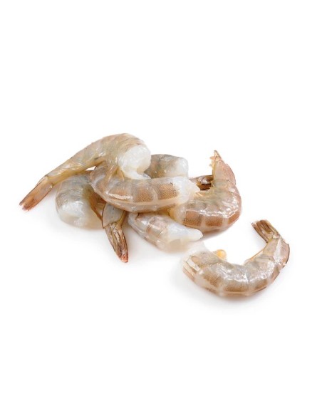 QUEUE CREV 21/25 SEA EMPIRE 1.4KG*6/CT