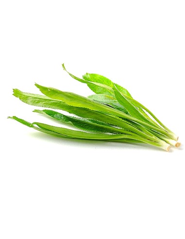 NGO GAI NEW THAI 100G