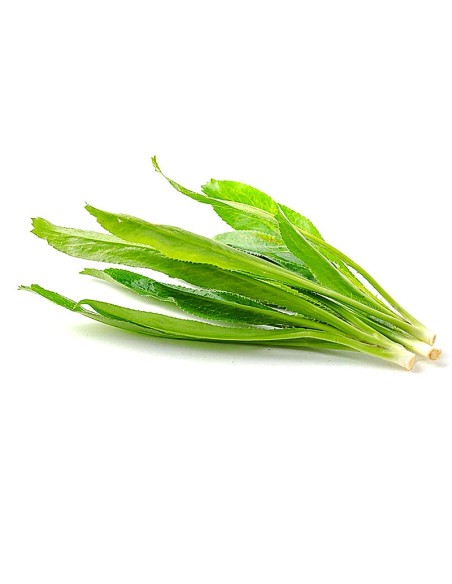 NGO GAI NEW THAI 100G