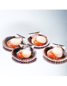 NOIX ST JACQ.10/14 25/35 A/C DEMI COQUILLE EBI 800G*8/CT