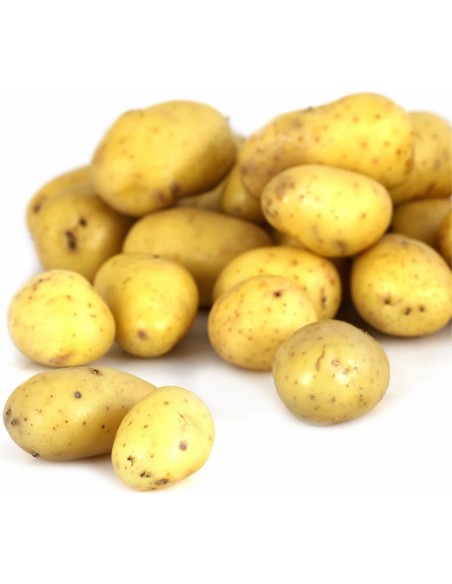 POMME DE TERRE GRENAILLE 1KG