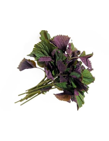 RAU TIA TO LE SACHET 100G (ORIG.LAOS)