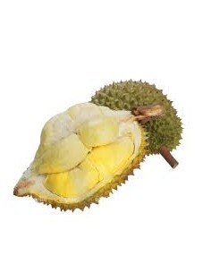DURIAN ENTIER FRAIS MONTHONG LE KILO (ORIG.THAI)