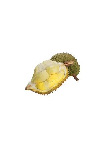 DURIAN ENTIER FRAIS MONTHONG LE KILO (ORIG.THAI)