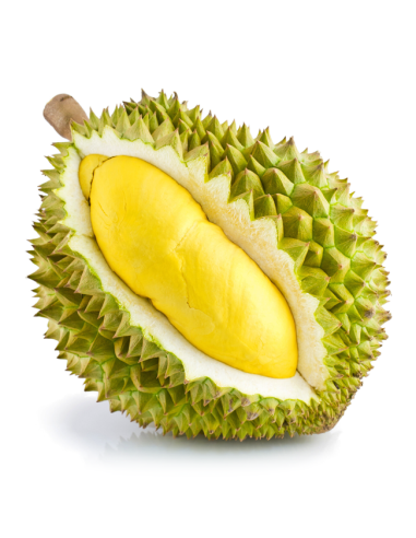DURIAN ENTIER FRAIS BOUDHA LE KILO (ORIG.THAILANDE)