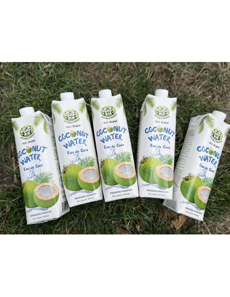 EAU DE COCO DOUBLE PANDA VN 1L*12/CT