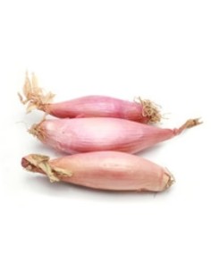 ECHALOTTE LE KILO (ORIG.FRANCE)